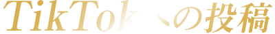 TikTokへの投稿